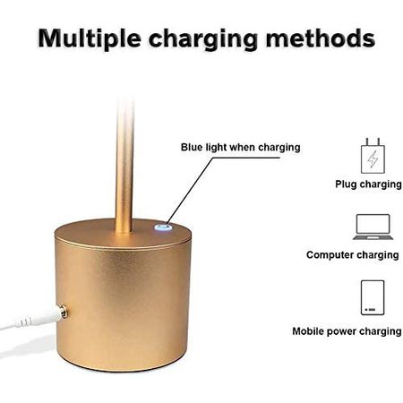 Настільна акумуляторна LED лампа Professional 5200 mAh 3W 2700K IP54 USB темно-сіра Premium, Color: темно-сірий, зображення 11