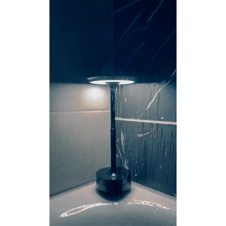 Настольная аккумуляторная LED лампа 5000mAh 3W 2700-6500K USB бронза Premium, Цвет: бронза, изображение 22 - Edisons