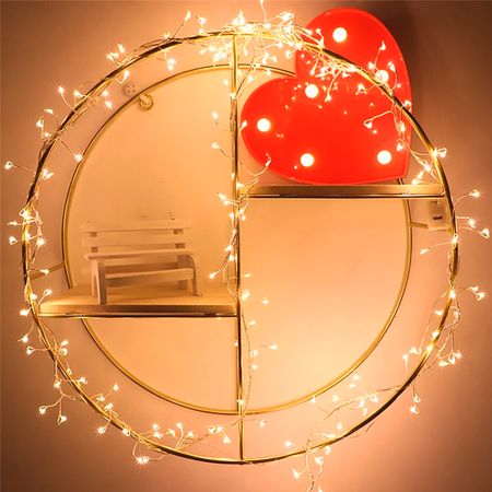 LED гирлянда новогодняя Роса плетенная 300LED 3м цвет Теплый Белый 8 режимов от 220В, Электропитание: Сеть 220В, изображение 11 - Edisons