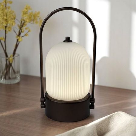 Настольная аккумуляторная LED лампа Aisilan со стеклянным плафоном 2600 mAh 3W 3000-6000K USB цвет Mocco Premium, изображение 14 - Edisons